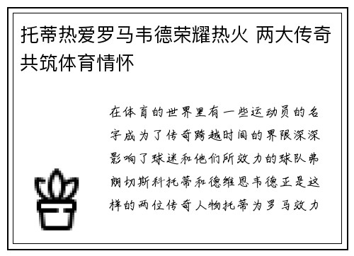 托蒂热爱罗马韦德荣耀热火 两大传奇共筑体育情怀